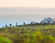 La destination touristique Brest terres océanes opérationnelle